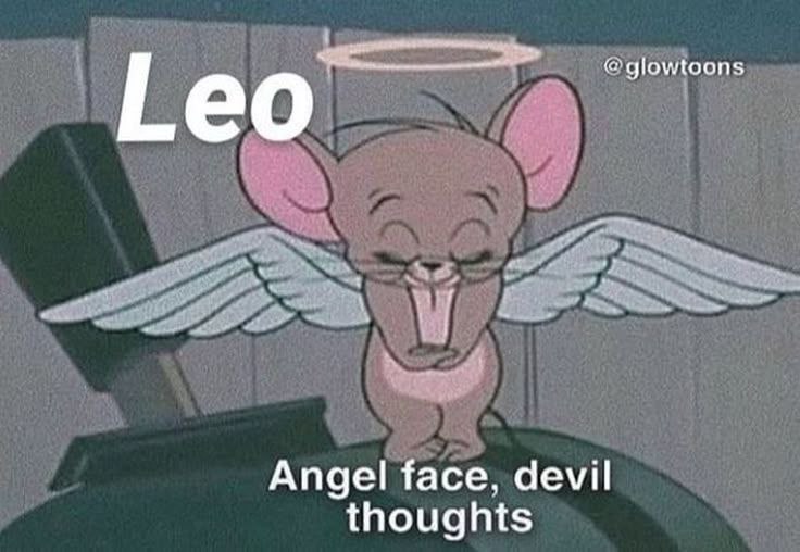 Meme 1